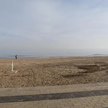 A 50 Metros Del Mar Oliva