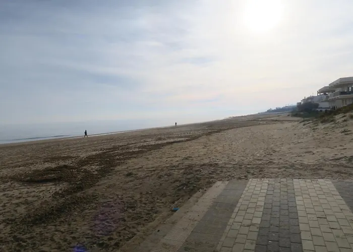 A 50 Metros Del Mar * Oliva