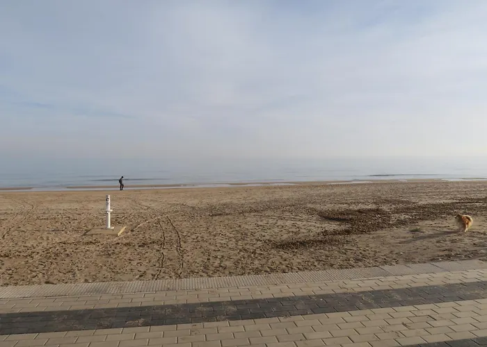 A 50 Metros Del Mar Oliva